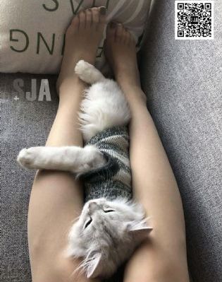 粉嫩大學生無套內射無碼卡視頻_90集免費觀看