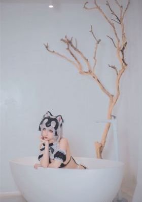 國產電視劇偽裝者_BD版國語迅雷下載
